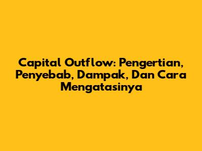 Capital Outflow: Pengertian, Penyebab, Dampak, Dan Cara Mengatasinya