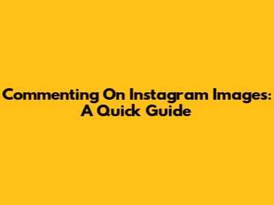 Commenting On Instagram Images: A Quick Guide