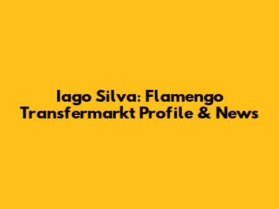 Iago Silva: Flamengo Transfermarkt Profile & News