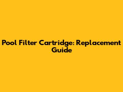 Pool Filter Cartridge: Replacement Guide