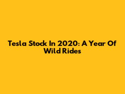 Tesla Stock In 2020: A Year Of Wild Rides
